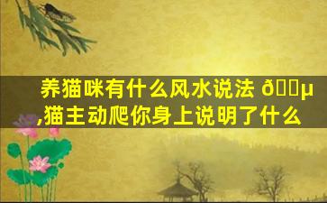 养猫咪有什么风水说法 🌵 ,猫主动爬你身上说明了什么